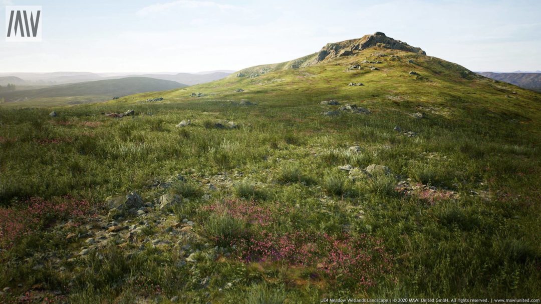 UE素材 草地沼泽湿地岩石山地森林植物场景3D模型素材 Unrealengine Meadow Wetlands Landscape_img_3