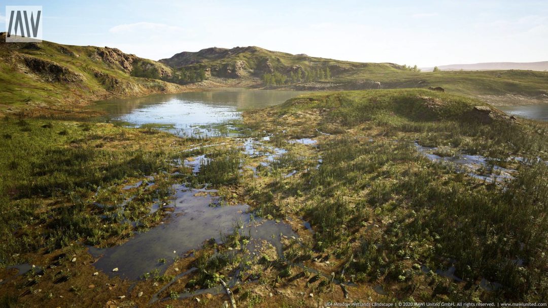 UE素材 草地沼泽湿地岩石山地森林植物场景3D模型素材 Unrealengine Meadow Wetlands Landscape_img_3