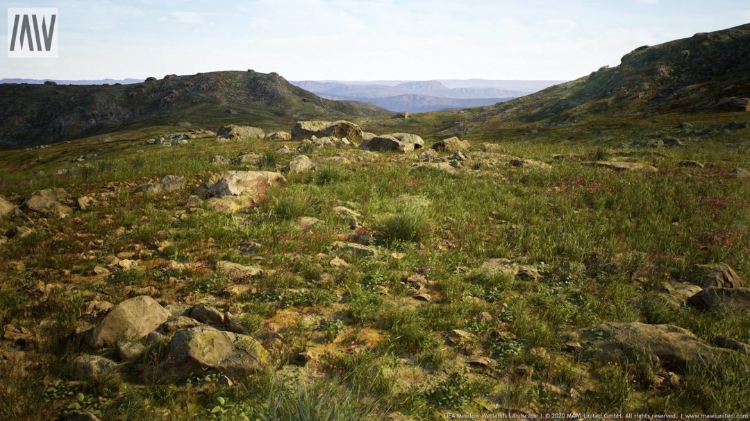 UE素材 草地沼泽湿地岩石山地森林植物场景3D模型素材 Unrealengine Meadow Wetlands Landscape_img_3