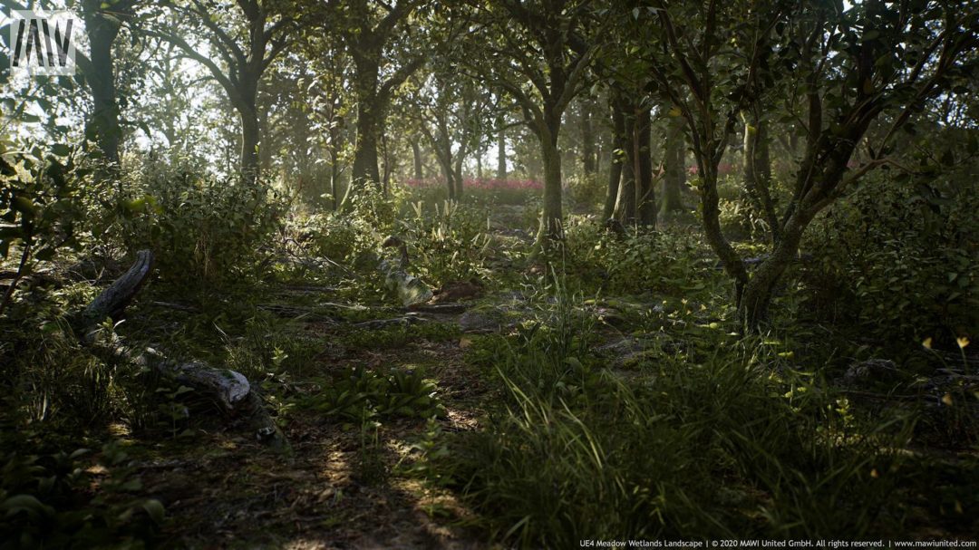 UE素材 草地沼泽湿地岩石山地森林植物场景3D模型素材 Unrealengine Meadow Wetlands Landscape_img_3