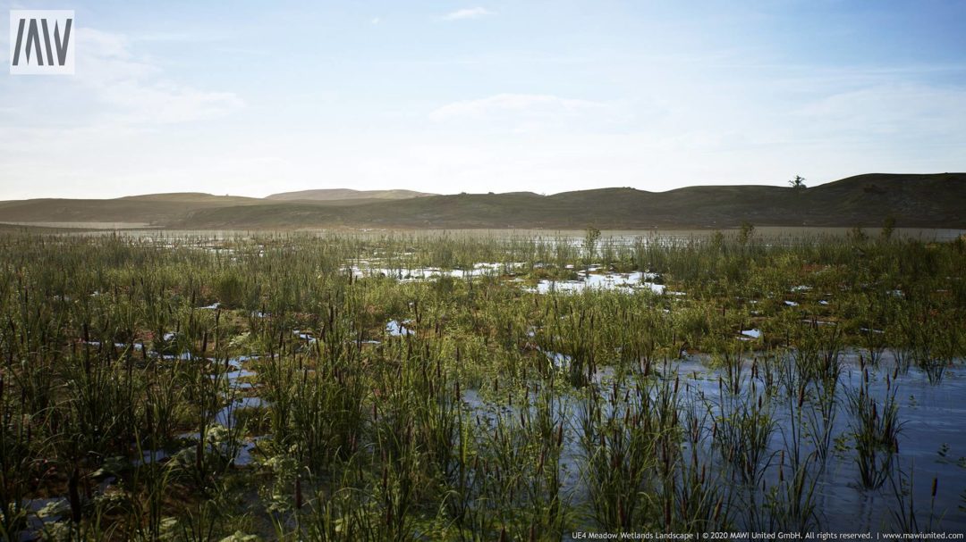 UE素材 草地沼泽湿地岩石山地森林植物场景3D模型素材 Unrealengine Meadow Wetlands Landscape_img_3