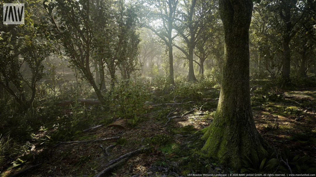 UE素材 草地沼泽湿地岩石山地森林植物场景3D模型素材 Unrealengine Meadow Wetlands Landscape_img_3