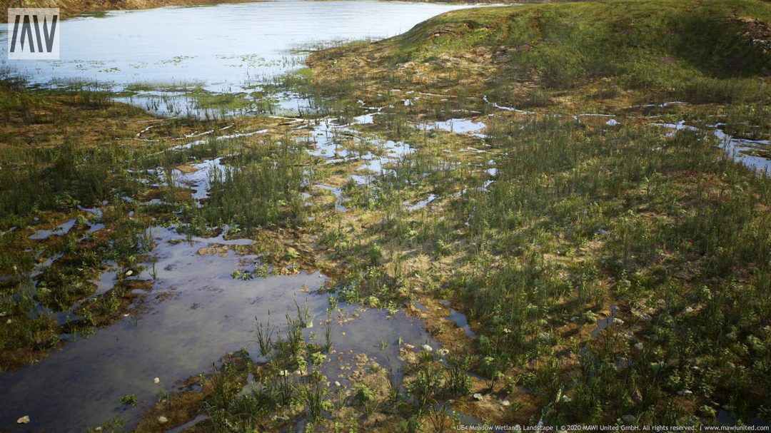 UE素材 草地沼泽湿地岩石山地森林植物场景3D模型素材 Unrealengine Meadow Wetlands Landscape_img_3