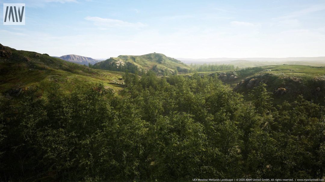 UE素材 草地沼泽湿地岩石山地森林植物场景3D模型素材 Unrealengine Meadow Wetlands Landscape_img_3