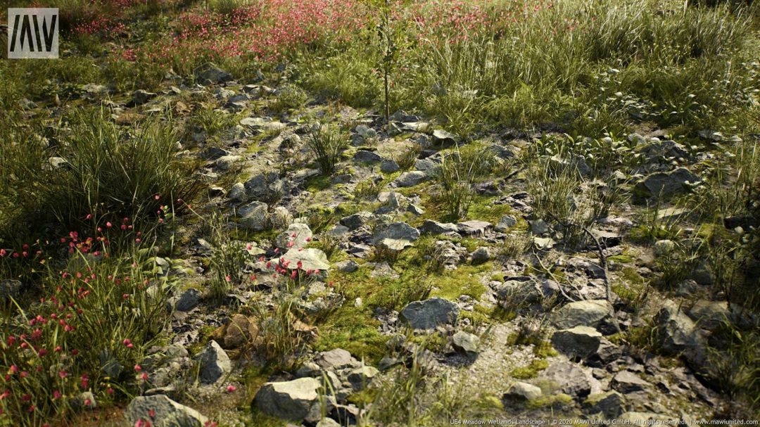 UE素材 草地沼泽湿地岩石山地森林植物场景3D模型素材 Unrealengine Meadow Wetlands Landscape_img_3