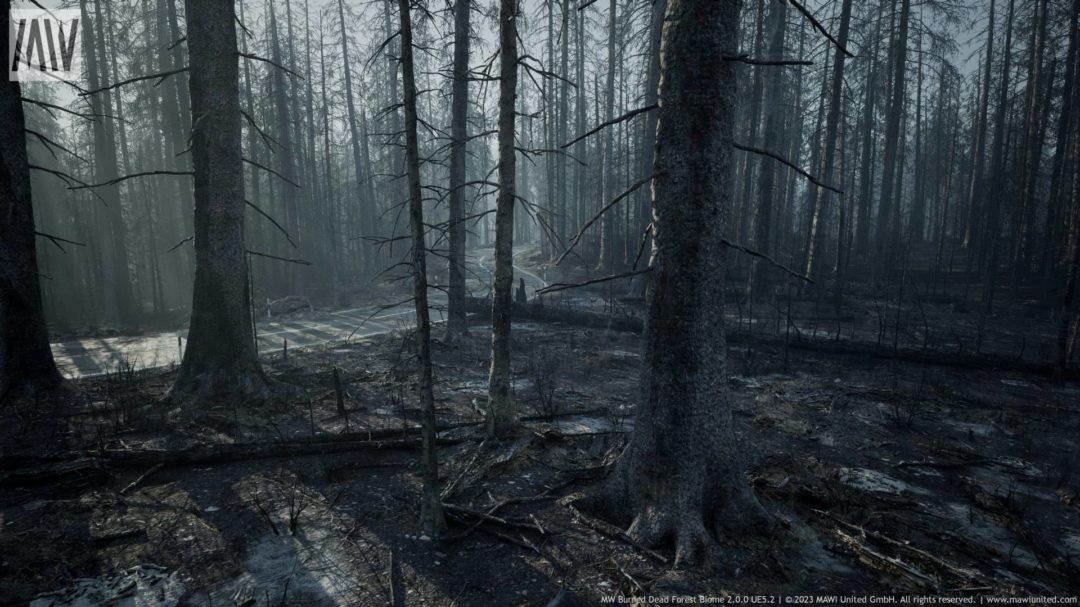 UE素材 烧毁原始森林树木生物群落3D场景模型素材 Burned Dead Forest Biome unrealengine_img_3