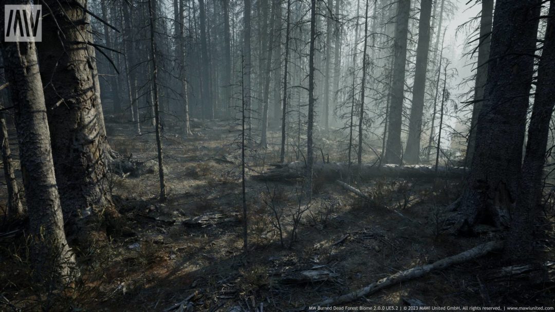 UE素材 烧毁原始森林树木生物群落3D场景模型素材 Burned Dead Forest Biome unrealengine_img_3