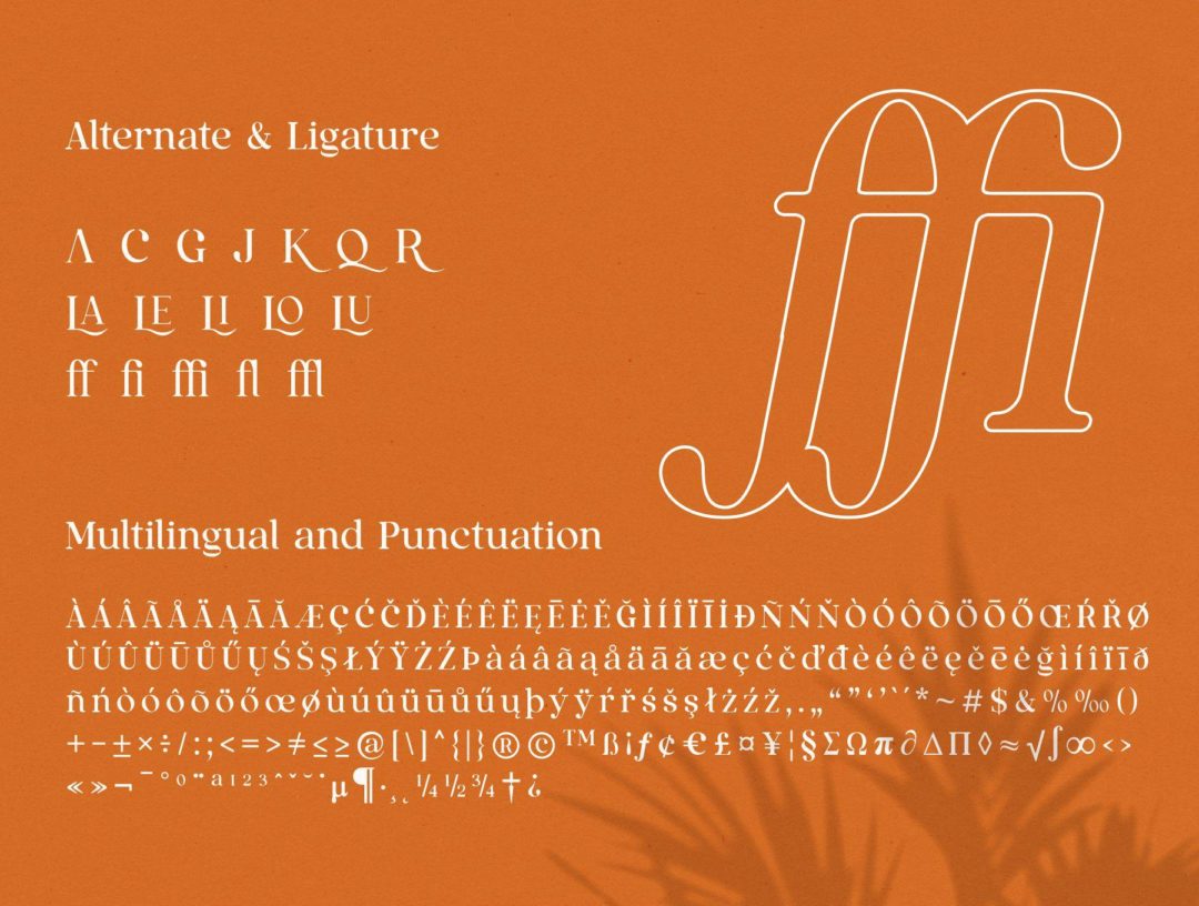 复古奢华杂志海报标题品牌徽标LOGO设计PS衬线英文字体安装包 Qualux Fonts Family_img_3