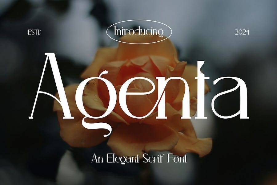 现代奢华杂志海报博客标题徽标LOGO设计PS英文字体安装包 Agenta - Elegant Serif Font_img_3