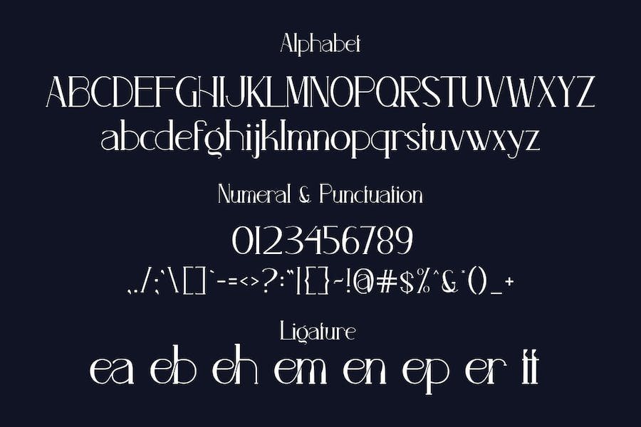 现代奢华杂志海报博客标题徽标LOGO设计PS英文字体安装包 Agenta - Elegant Serif Font_img_3