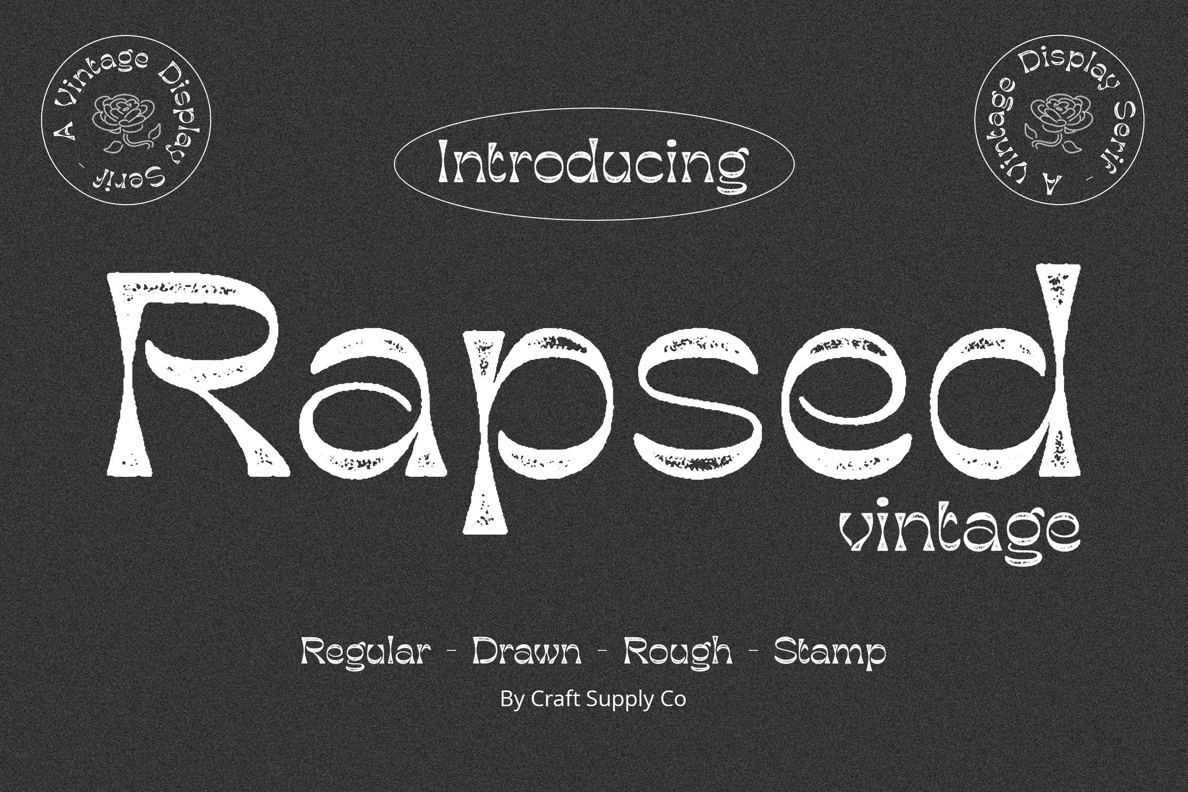 复古怀旧杂志海报徽标设计衬线英文字体安装包 Rapsed Vintage Stamp Font_img_2