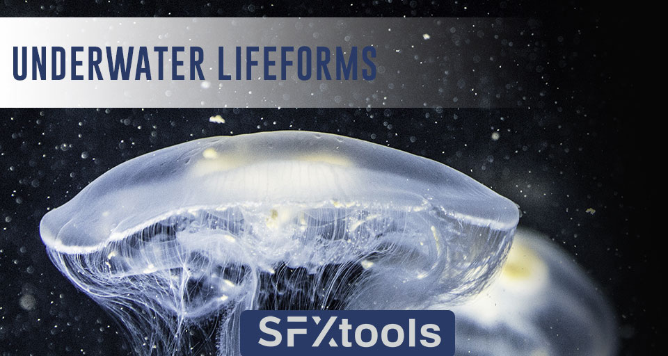 35组神奇水下生物环境氛围无损音效 SFXtools Underwater Lifeforms WAV_img_3