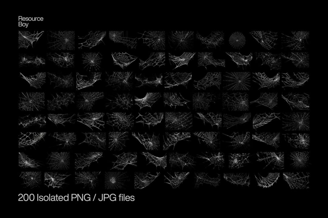 200款高清恐怖惊悚万圣节主题蜘蛛网纹理PNG免抠背景图片素材 200 Spider Web Textures_img_3
