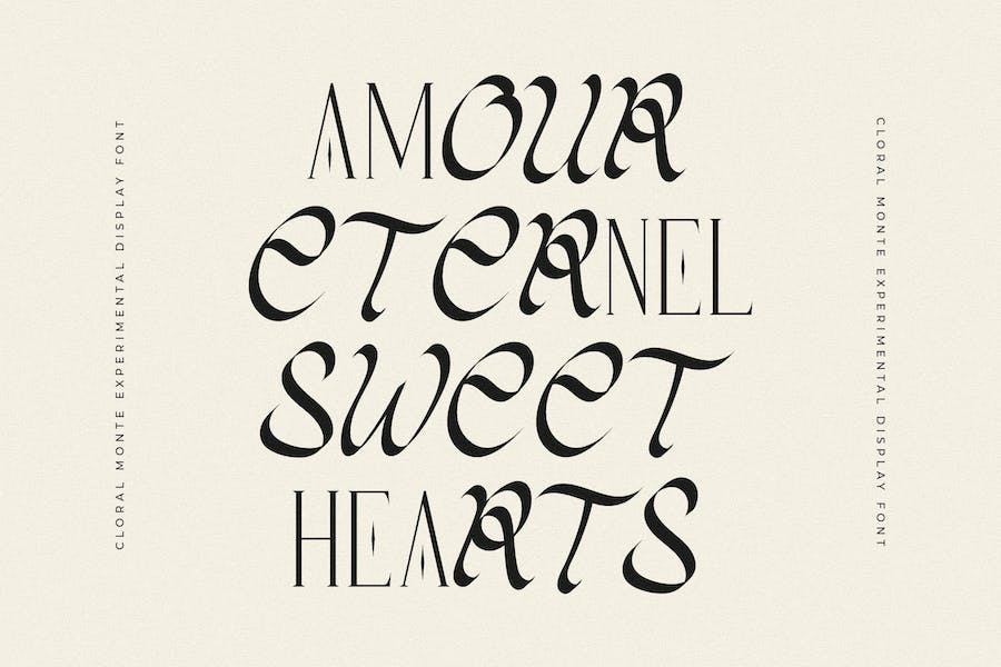 优雅品牌海报徽标设计衬线英文字体安装包 Cloral Monte Experimental Display Font_img_3