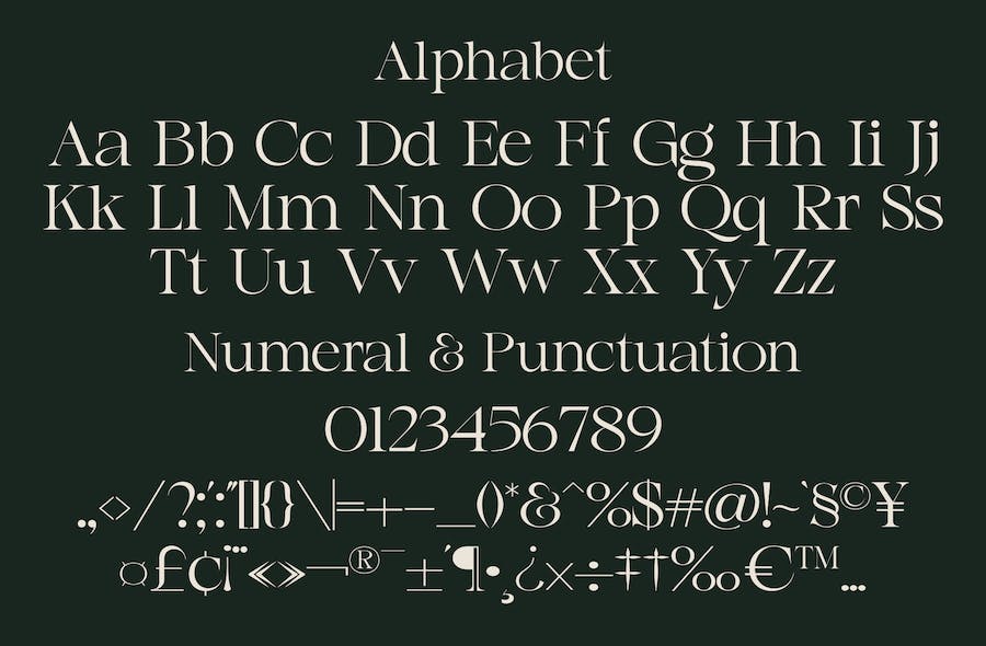 复古优雅杂志海报标题徽标LOGO字体设计PSAI衬线英文安装包 Agista Display - A Classic Serif Font_img_3