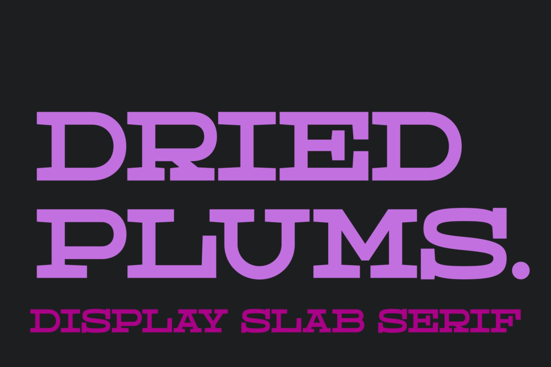 st_dried_plums_1-