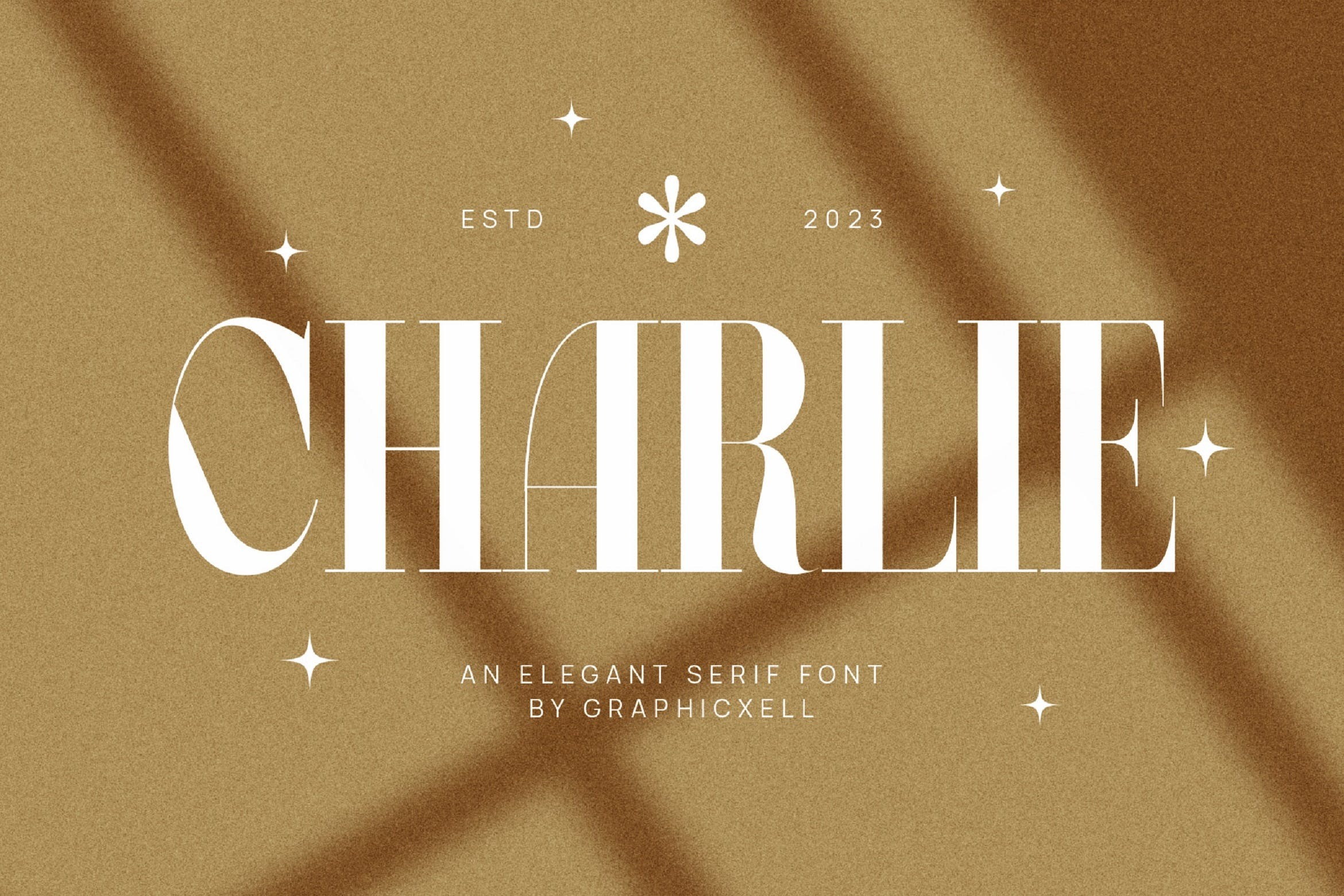 优雅品牌邀请函徽标设计衬线英文字体安装包 Charlie Elegant Serif Font Typeface_img_2