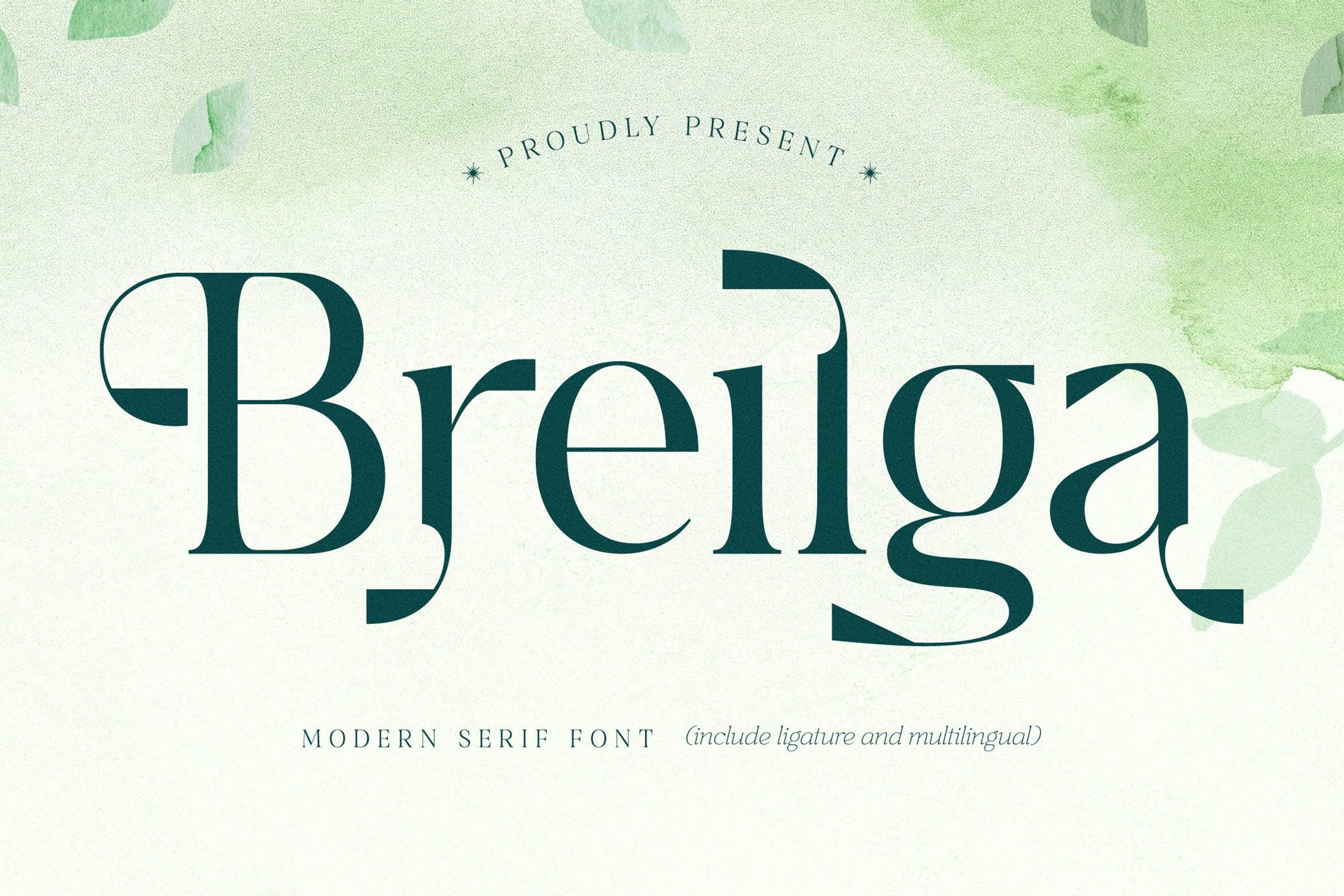 优雅杂志品牌海报设计衬线英文字体安装包 Breilga Modern Serif Font_img_2