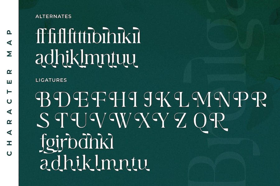 优雅杂志品牌海报设计衬线英文字体安装包 Breilga Modern Serif Font_img_3