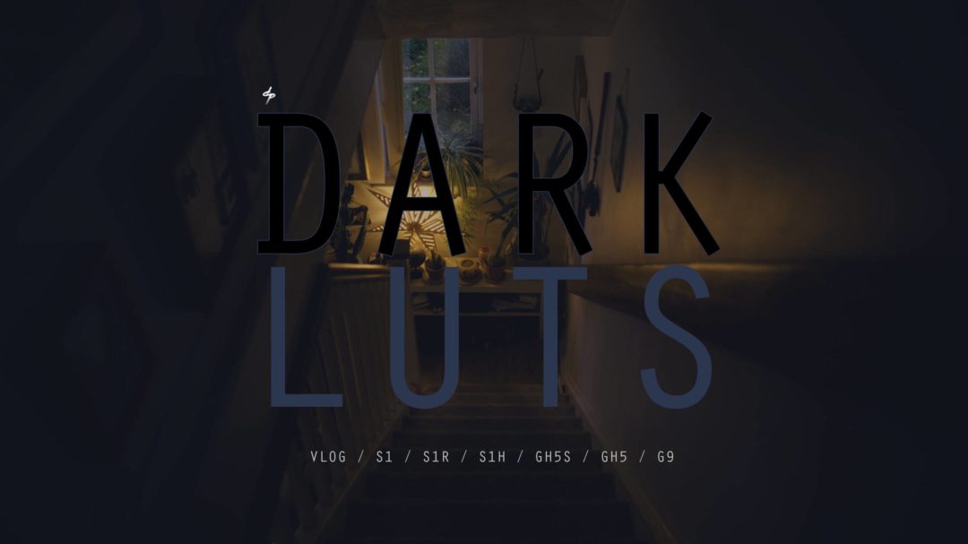 LUTs预设 适用于Vlog白天转黑夜风视频后期调色 Daniel John Peters LUMIX VLOG DARK LUTS_img_3