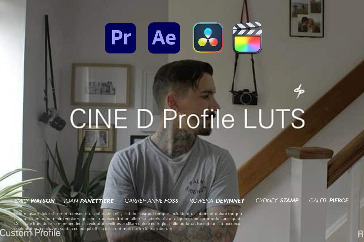 LUTs预设 风格化适用于VLOG低光拍摄视频后期调色 Daniel John Peters LUMIX CINE D LUTS_img_2