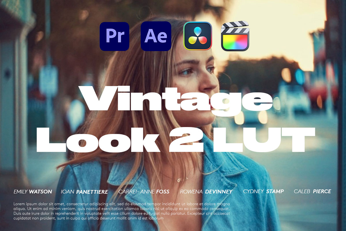 LUTs预设 15组复古电影大片视频颜色分级调色 Vintage Look 2 LUT Pack (15 LUTs)_img_2