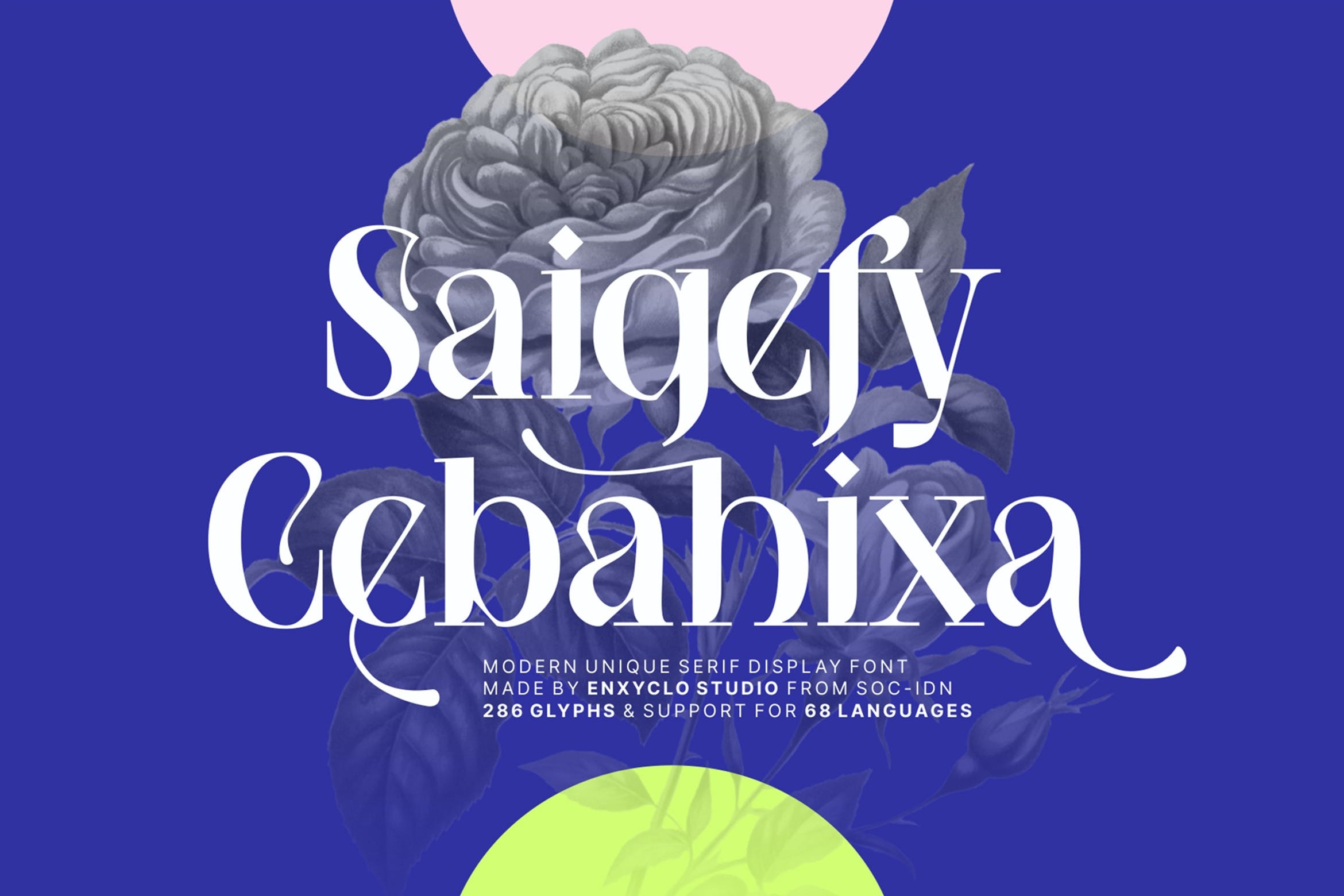 现代时尚杂志海报徽标设计衬线英文字体安装包 NCL Saigefy Cebahixa Modern Unique Serif Font_img_2