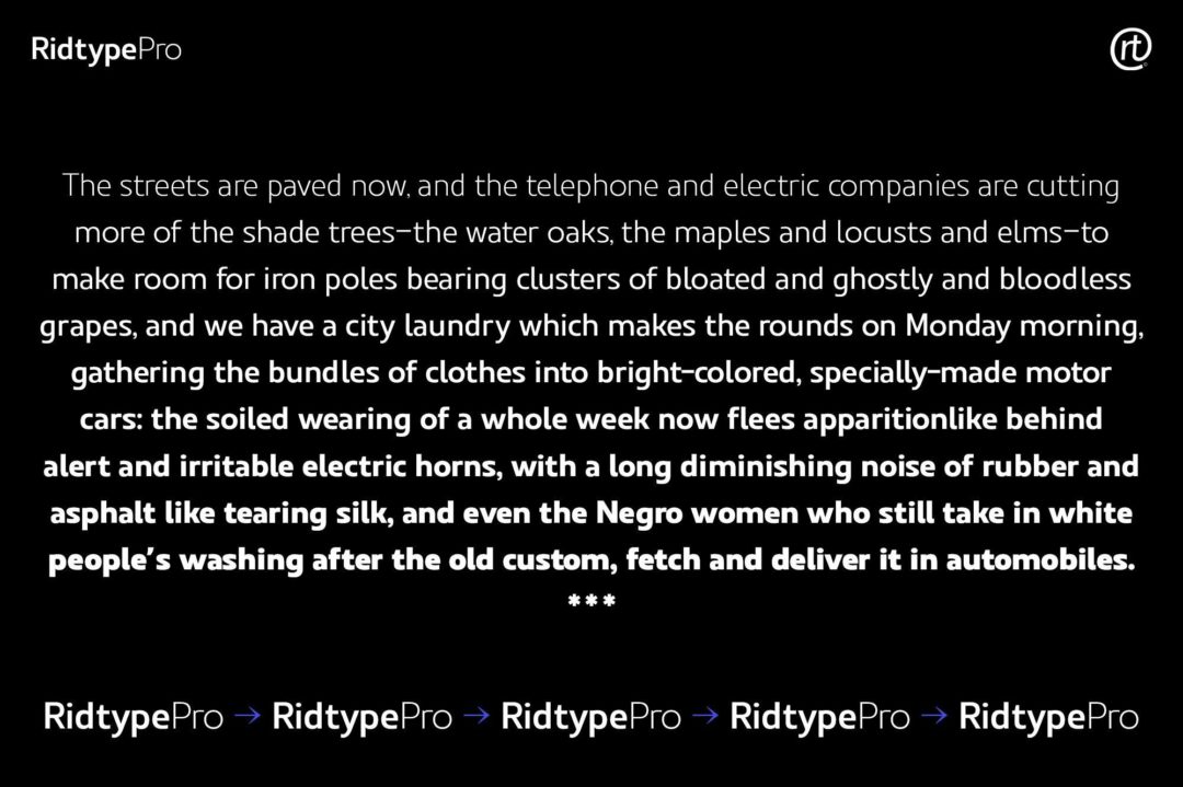 现代时尚几何风品牌设计海报杂志排版PSAI无衬线英文字体 Ridtype Pro Font Family_img_3