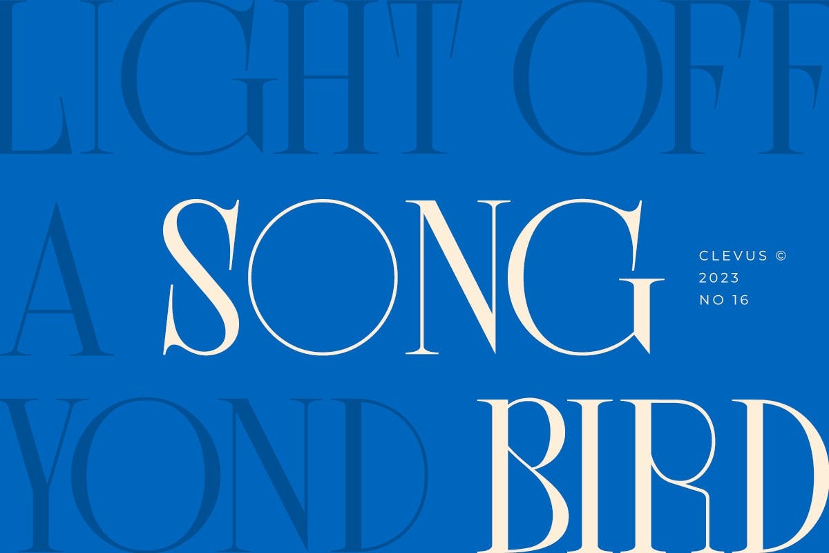 现代复古品牌杂志标识设计衬线英文字体安装包 Song Bird Modern Serif_img_2