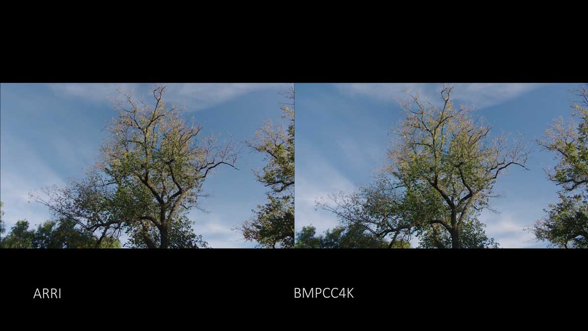 BMPCC转阿莱Alexa和电影胶片视频LUT调色预设 Joel Famularo – Phantom LUTs for BMPCC 4K&6K Film LUTs+Arri LUTs_img_1