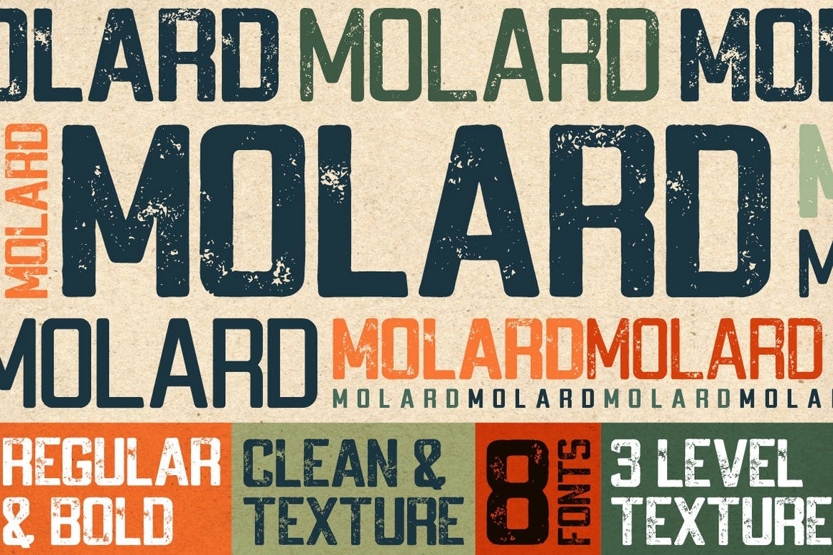 现代时尚品牌杂志海报设计无衬线英文字体 Molard - Modern Various Font_img_1