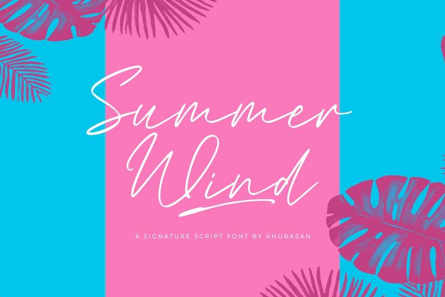 现代优雅邀请函婚礼海报设计书写字体 Summer Wind_img_1