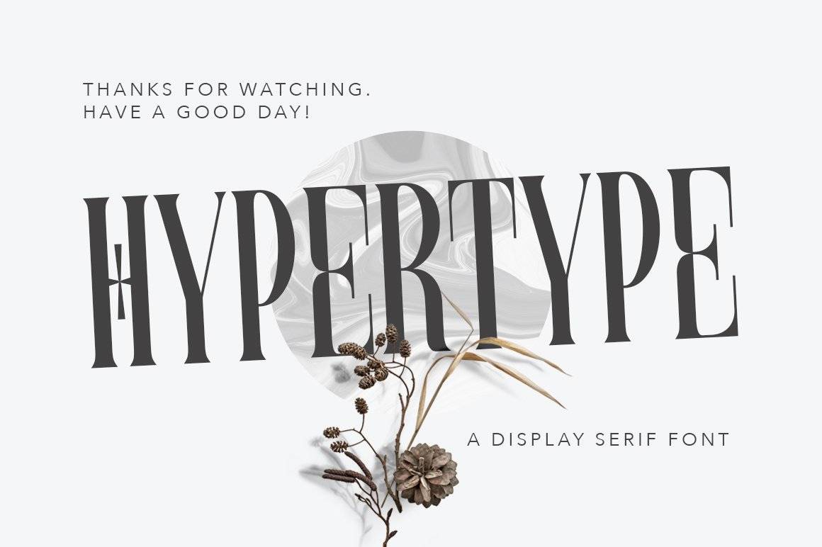 现代优雅奢华品牌标识博客标题设计PSAI衬线英文字体安装包 Hypertype Elegant Serif Display_img_1