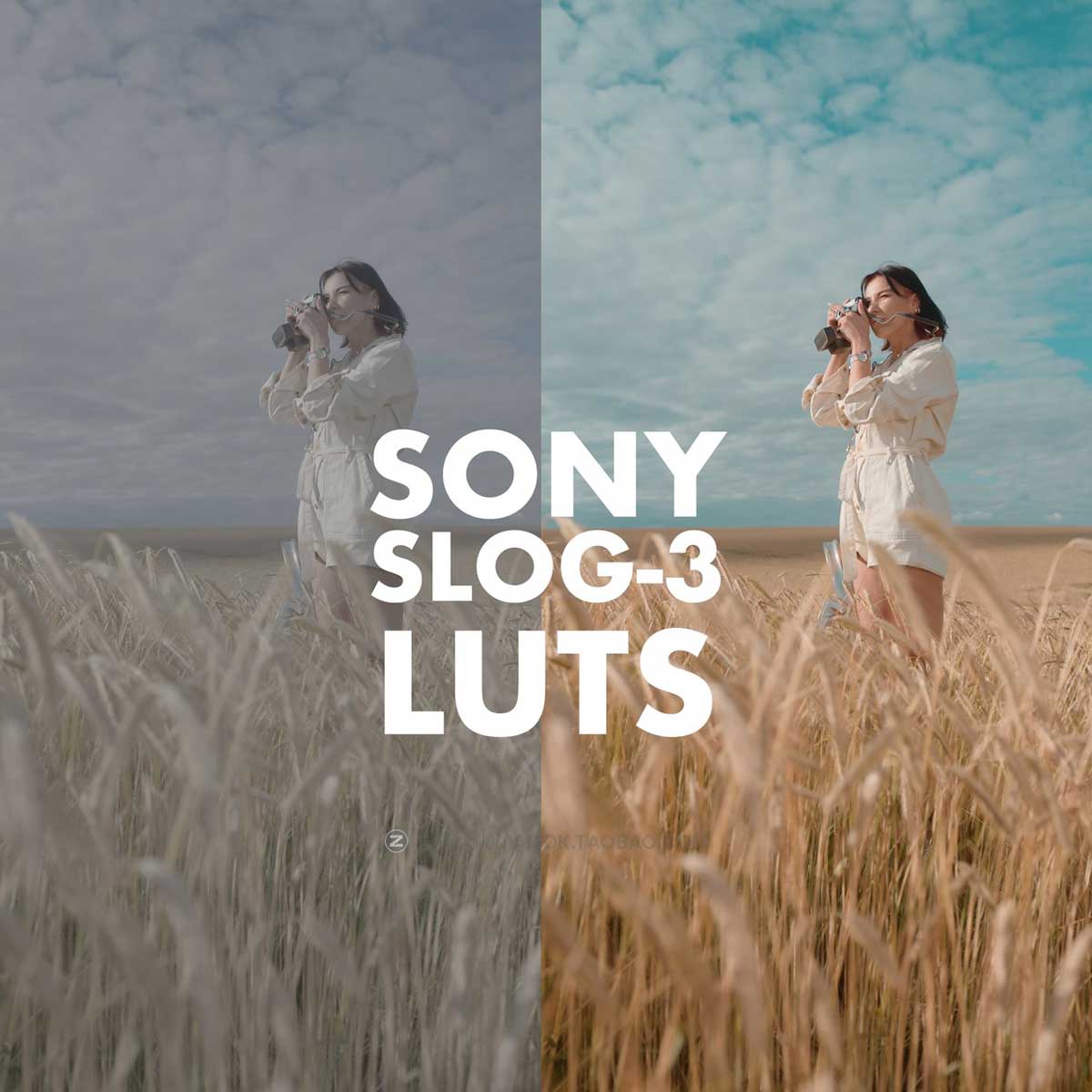 LUTs调色 21款SONY SLOG 3摄影人像电影视频后期调色套装 Alexandru Don – SONY SLOG 3 LUTS – SKINTONE EDITION_img_1