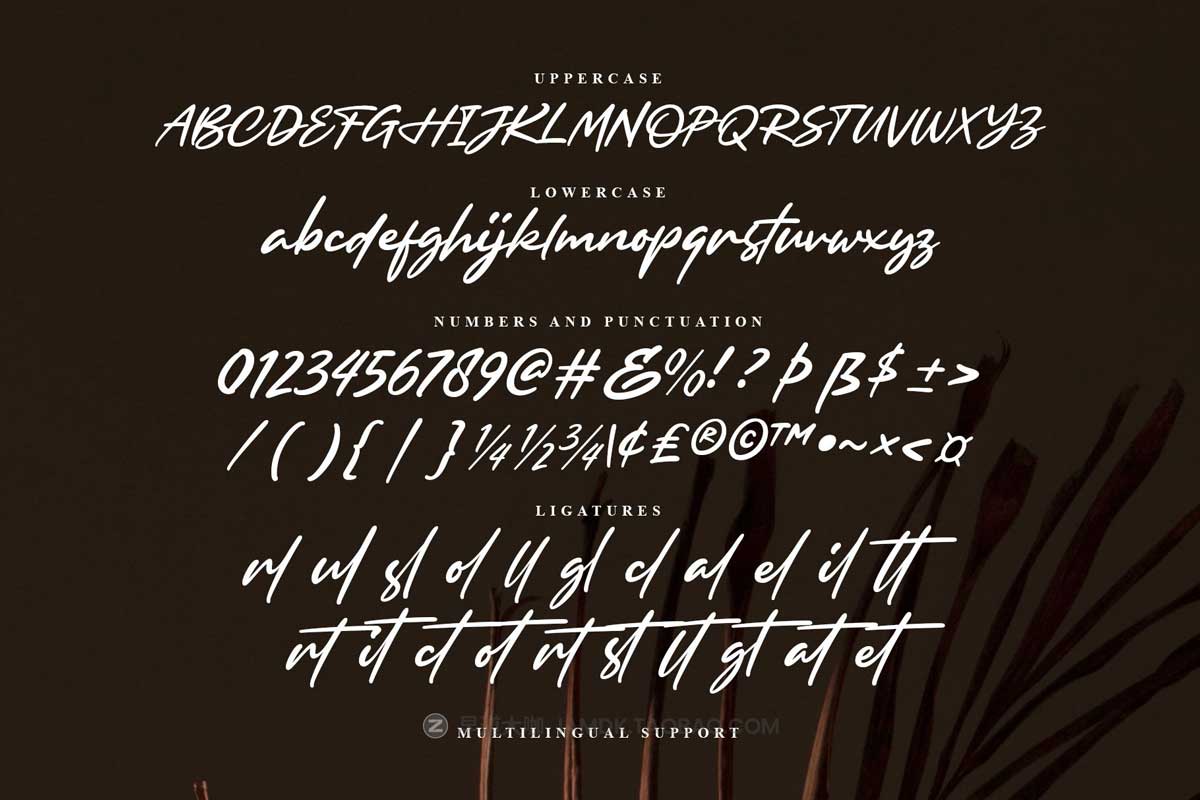 时尚优雅婚礼主题海报品牌Logo设计手写英文字体安装包 Browellay Synthya - Signature Typeface_img_1