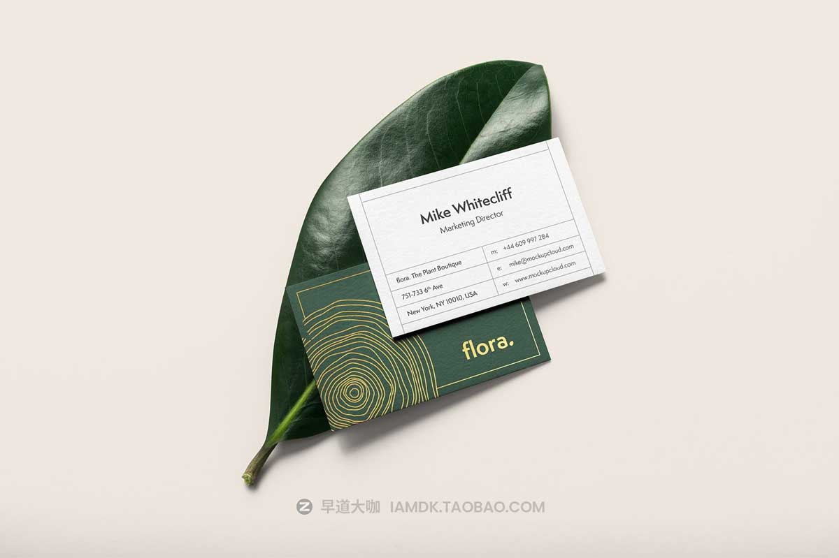 时尚优雅品牌LOGO设计名片信封展示贴图PSD样机模板素材 Flora Branding Mockup Vol. 2_img_1