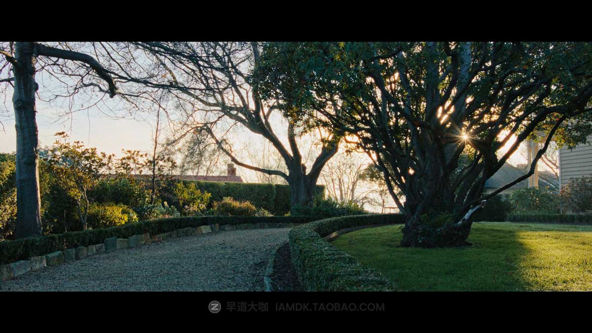 RED科莫多转阿莱色调色达芬奇节点+LUT预设 Juan Melara – Komodo2Alexa PowerGrades and LUTs Bundle – RCM Update_img_1