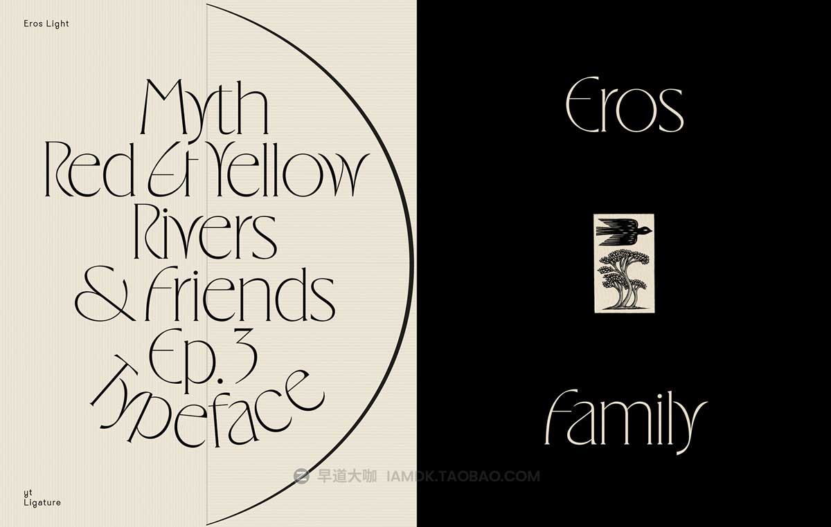 现代时尚优雅逆反差标题Logo设计PSPROCREATE衬线英文字体安装包 Eros Font Family_img_1