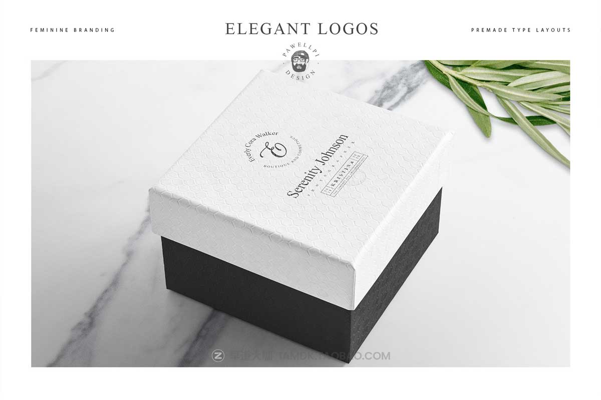 100款优雅品牌Logo标志徽标符号设计PSAI设计素材合集 100 elegant feminine logos premium_img_2