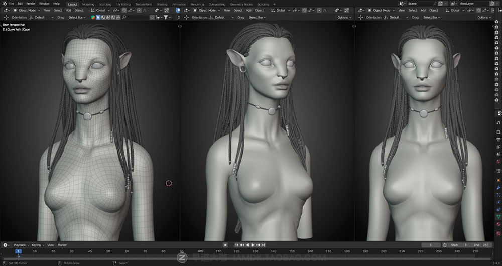 Blender教程 阿凡达人物涅提妮头像创建建模渲染3D模型视频教程 无声音 Gumroad - Avatar Character Modeling in Blender_img_2