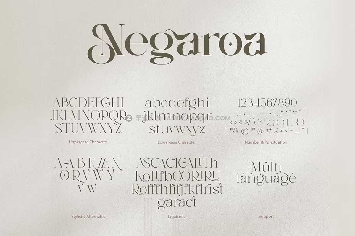 潮流复古酸性逆反差杂志标题徽标Logo设计英文字体安装包 Negaroa - Aesthetic Serif_img_2