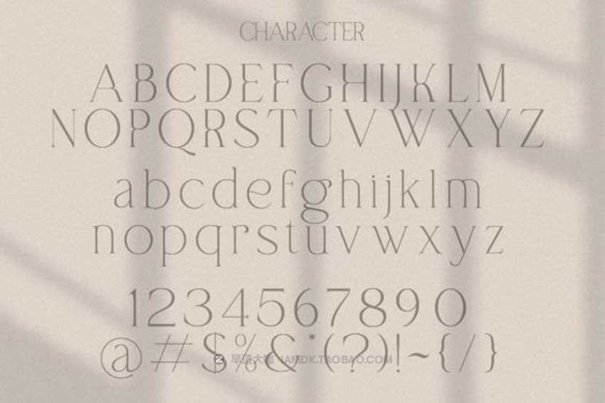 现代复古优雅女性化品牌推广标题徽标设计衬线英文字体包 The Berlin Font_img_2