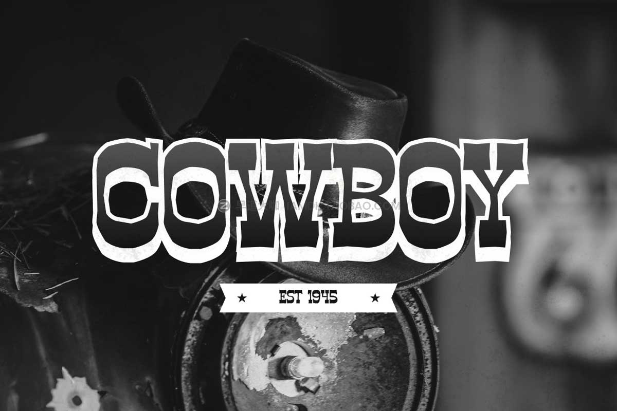 复古经典电影标题海报排版徽标logo设计无衬线英文字体 The Django – Vintage Font_img_2