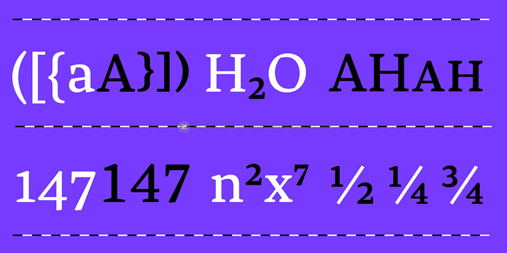 复古旧式食品品牌包装标题设计衬线英文字体安装包 Carole Serif Font Family_img_2