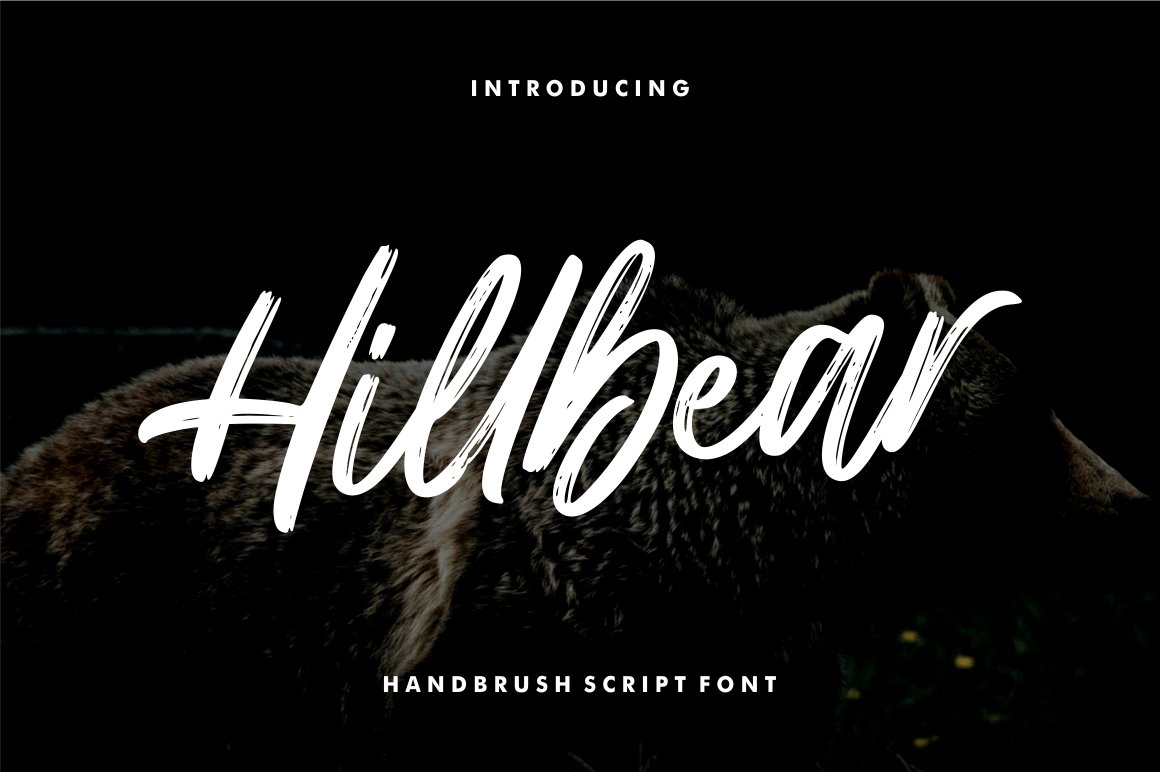 现代手写毛笔笔刷效果英文字体安装包 Hillbear - Handbrush Script Font_img_2