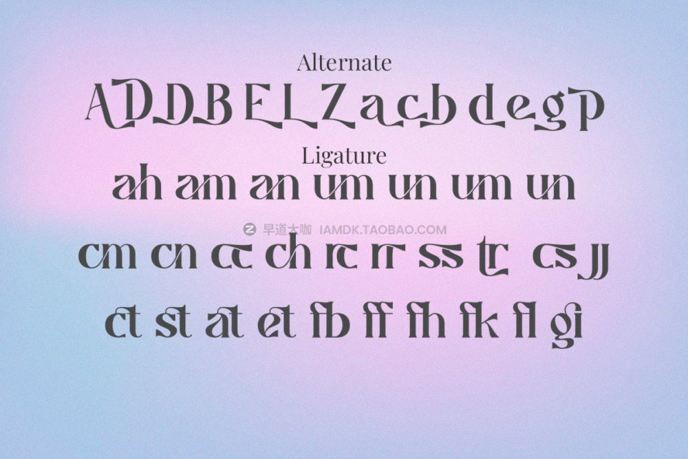 复古优雅杂志排版品牌logo电影标题设计衬线英文字体安装包 Caustics Font Family_img_2