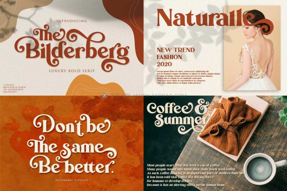 20套70年代复古优雅杂志海报标题logo设计衬线英文字体合集 The Modern & Classic Font Bundle_img_2