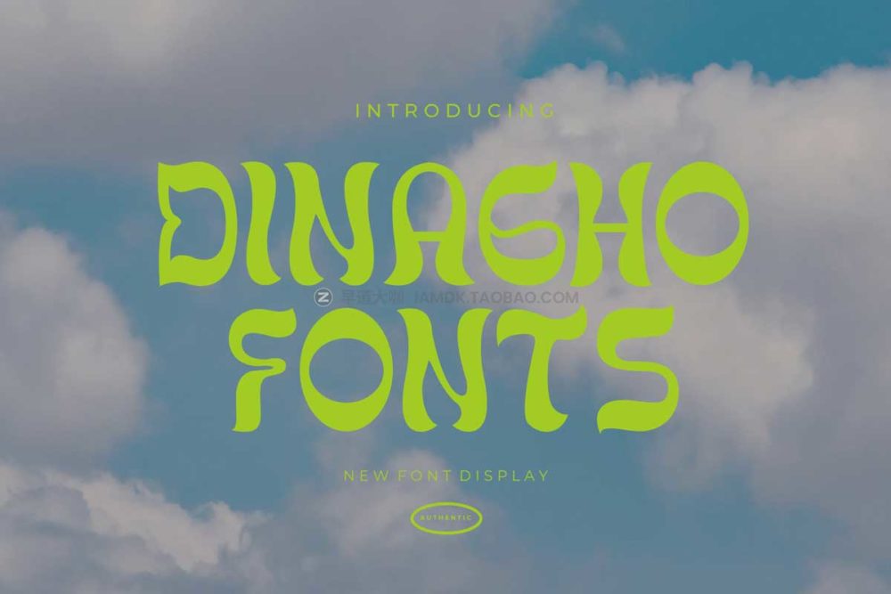 复古酸性逆反差杂志海报排版标题设计英文字体安装包 Dinagho Display Font_img_2