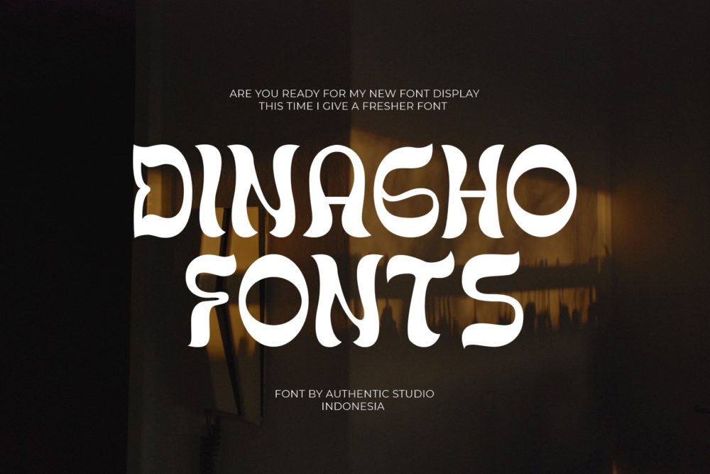 复古酸性逆反差杂志海报排版标题设计英文字体安装包 Dinagho Display Font_img_2