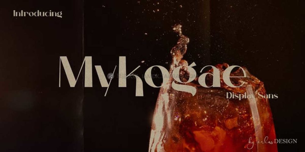 复古女性化杂志排版品牌设计无衬线英文字体安装包 Mykogae Font Family_img_2